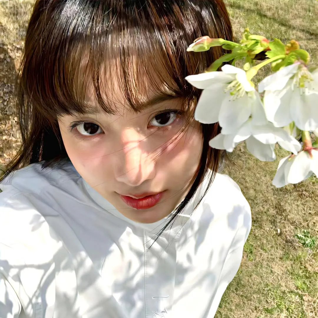 昭昭明月入君怀